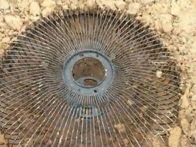 女子把电扇网埋地里第二天惊呆（图）