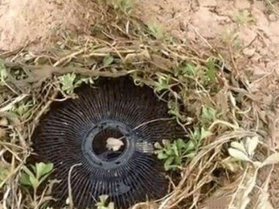 女子把电扇网埋地里第二天惊呆（图）