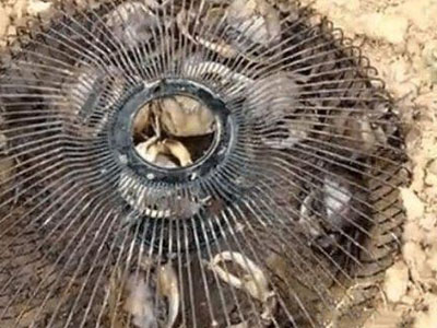 女子把电扇网埋地里第二天惊呆（图）