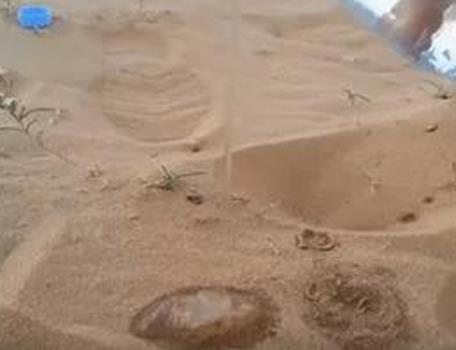 沙漠中倒下水接下来现惊奇一幕(组图) 沙漠中倒下水接下来现惊奇一幕(组图)