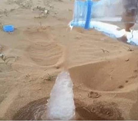 沙漠中倒下水接下来现惊奇一幕(组图) 沙漠中倒下水接下来现惊奇一幕(组图)