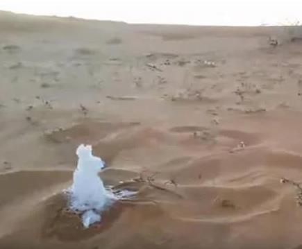 沙漠中倒下水接下来现惊奇一幕(组图) 沙漠中倒下水接下来现惊奇一幕(组图)