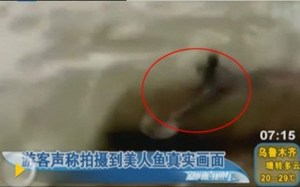 世界上有美人鱼吗:世界上存在美人鱼 世界上有美人鱼吗:世界上存在美人鱼