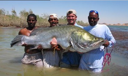 世界上最大的鱼:世界上最大的鱼是什么鱼 世界上最大的鱼:世界上最大的鱼是什么鱼