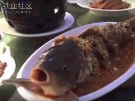 将酒倒进煮熟的鱼嘴里竟出这事（组图）