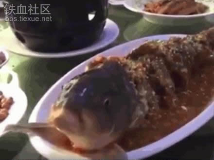 将酒倒进煮熟的鱼嘴里竟出这事（组图）