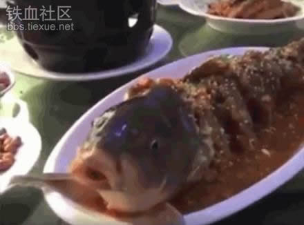 将酒倒进煮熟的鱼嘴里竟出这事（组图）