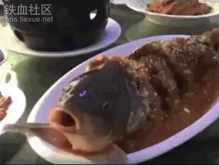 将酒倒进煮熟的鱼嘴里竟出这事（组图）