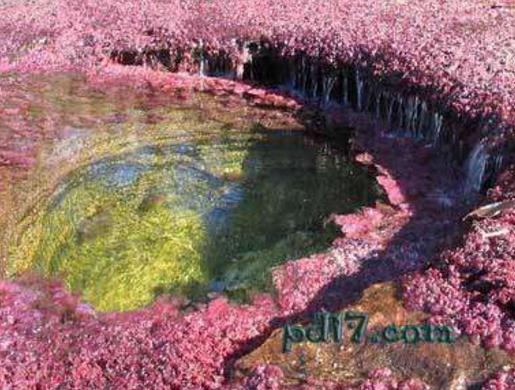 自然景观有哪些：世界十大奇特的自然景观有哪些