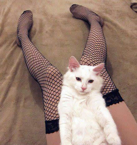 这张年度最牛的图 亮点太多了!（组图）