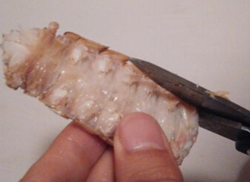 皮皮虾怎么剥：4个方法教你皮皮虾怎么剥