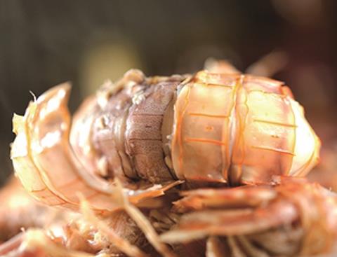 皮皮虾怎么剥：4个方法教你皮皮虾怎么剥