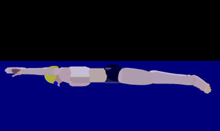蛙泳的动作要领图解：蛙泳技巧图解教学