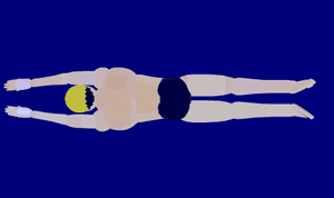 蛙泳的动作要领图解：蛙泳技巧图解教学