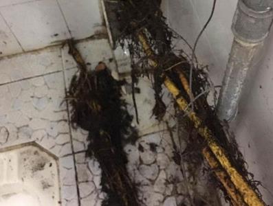 上厕所感觉不对敲开墙壁吓坏了（组图）