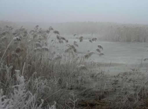 2017-2018年三九天时间表 2017-2018年三九天几月几号开始