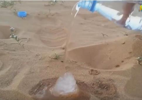 沙漠中倒下水接下来现惊奇一幕（组图）