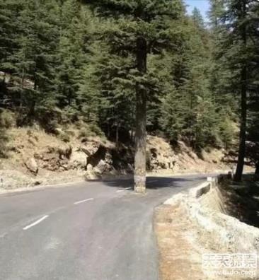 印度真实生活-让人直呼受不了（组图）