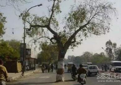 印度真实生活-让人直呼受不了（组图）