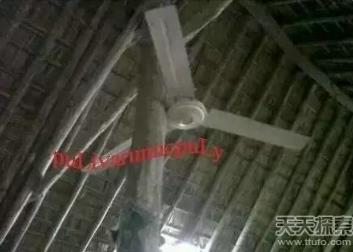 印度真实生活-让人直呼受不了（组图）