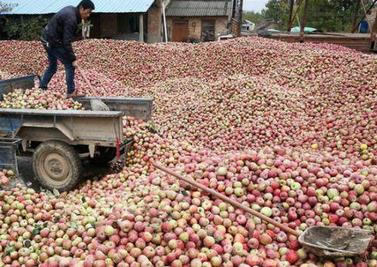 每天坚持吃苹果身体竟有这变化（图）