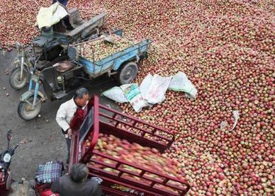 每天坚持吃苹果身体竟有这变化（图）