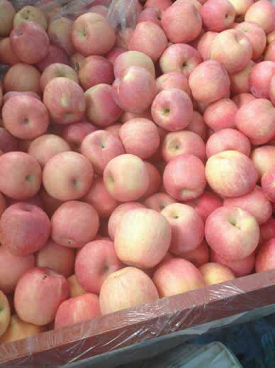 每天坚持吃苹果身体竟有这变化（图）