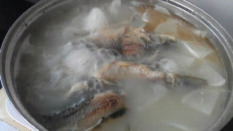 喜欢把鱼汤熬成奶白色？快别喝了（图）