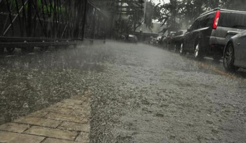阵雨和雷阵雨的区别：雷阵雨和阵雨有什么区别