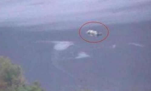 水怪之迷：揭世界十大水怪之谜（精选解析）