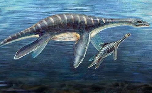 水怪之迷:揭世界十大水怪之谜(精选解析) 水怪之迷:揭世界十大水怪之谜(精选解析)