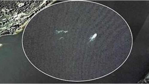 水怪之迷:揭世界十大水怪之谜(精选解析) 水怪之迷:揭世界十大水怪之谜(精选解析)