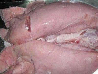 猪这部位最好吃却被人拿去喂狗（图）