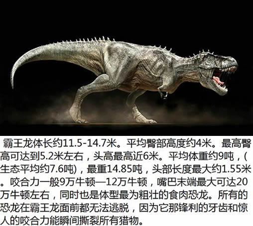 【恐龙之最】十大恐龙之最：最大最小最笨的恐龙