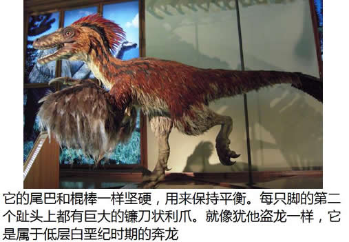 恐龙之最十大恐龙之最最大最小最笨的恐龙