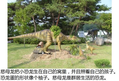 【恐龙之最】十大恐龙之最:最大最小最笨的恐龙 【恐龙之最】十大恐龙之最:最大最小最笨的恐龙