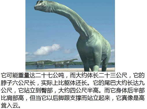 【恐龙之最】十大恐龙之最:最大最小最笨的恐龙 【恐龙之最】十大恐龙之最:最大最小最笨的恐龙