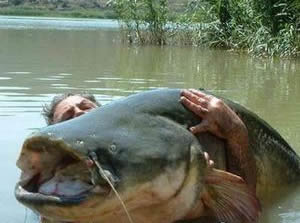 世界最大的鱼:各种世界最大的鱼类不看后悔(图) 世界最大的鱼:各种世界最大的鱼类不看后悔(图)