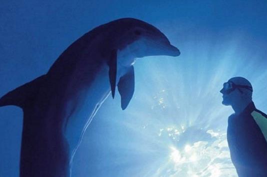 憋气世界纪录：22分钟你相信吗（吉尼斯纪录）