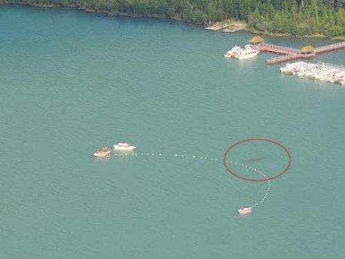 喀纳斯水怪:喀纳斯水怪是什么之谜(图) 喀纳斯水怪:喀纳斯水怪是什么之谜(图)