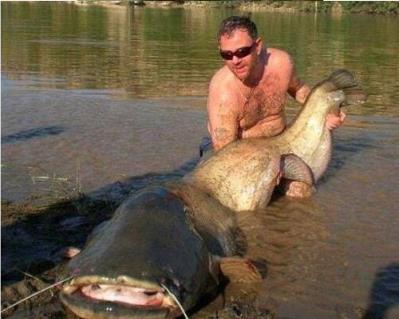 世界十大最凶猛淡水鱼:十大最凶猛淡水鱼排名 世界十大最凶猛淡水鱼:十大最凶猛淡水鱼排名