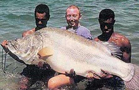 世界十大最凶猛淡水鱼：十大最凶猛淡水鱼排名