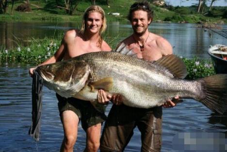 世界十大最凶猛淡水鱼：十大最凶猛淡水鱼排名