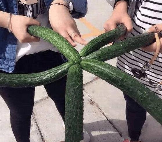 能找到一群志同道合的朋友真不是一件容易的事儿