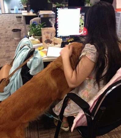 多少屌丝活的不如这条狗