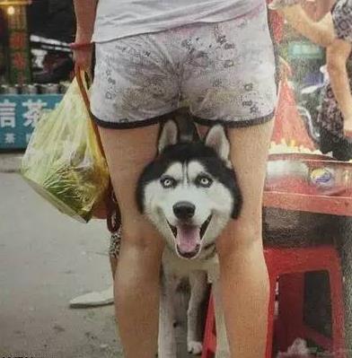 在一直跟着看，小心我咬你