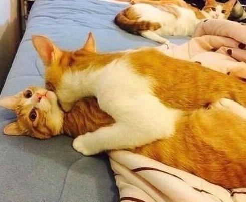 就算得到了我的肉体，也得不到我的心