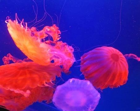 南京好玩的地方排行榜：老少都适合去的地方