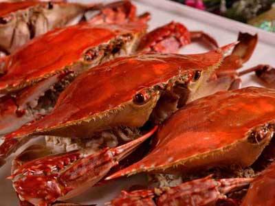 吃螃蟹不能吃什么：食蟹的禁忌及螃蟹忌食人群