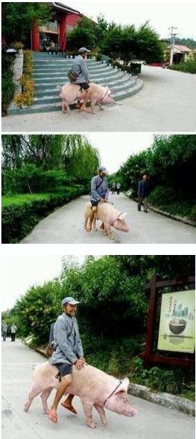 奇葩是什么意思:若被别人说是奇葩你作何感想 奇葩是什么意思:若被别人说是奇葩你作何感想